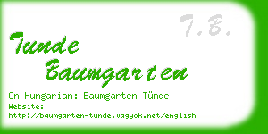 tunde baumgarten business card
